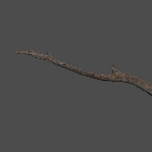 mex_branch12
