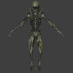 Xeno Boiler