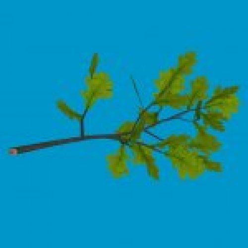 oakbranch1