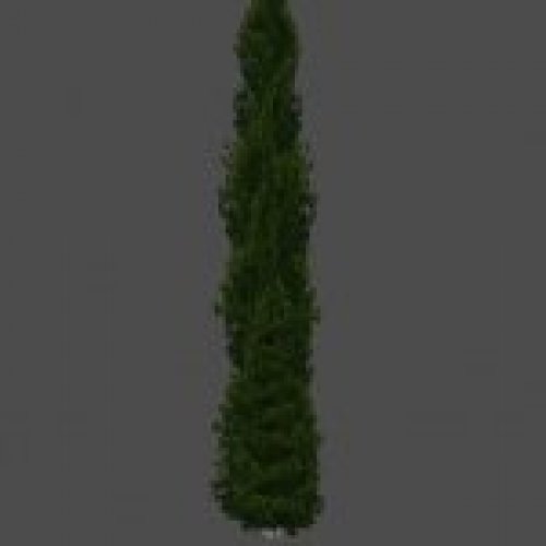 s_tree2