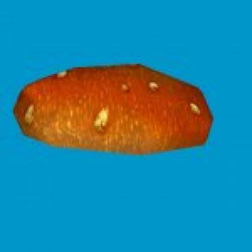 jn_orange_mushroom_03_gib01