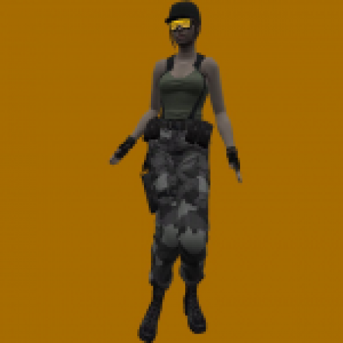 RE Jill Valentine Military