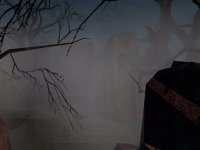 dm_cs_nightswamp