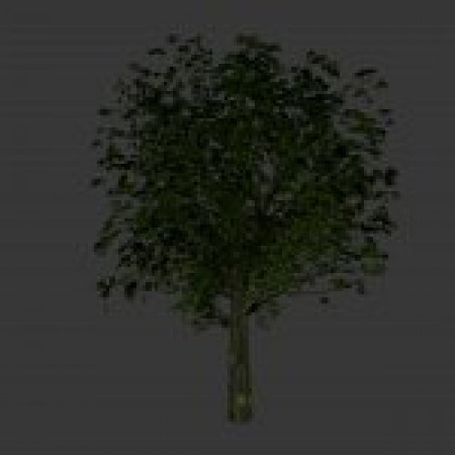 tree2.mdl