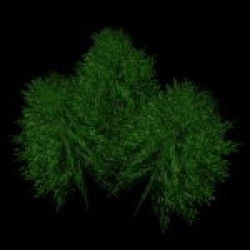 newtree02.mdl