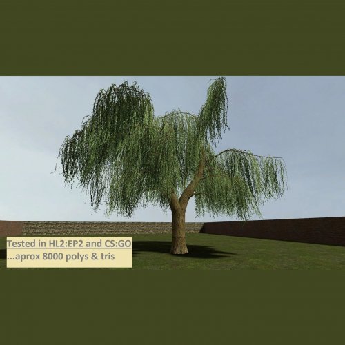 Weeping_Willow_01