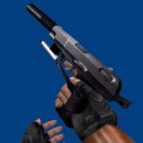 Ruger P89DC