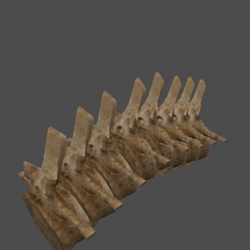pc_BrachiSpine_Mesh