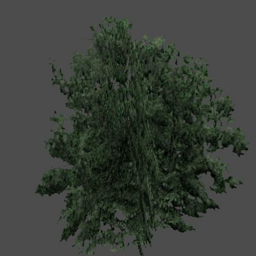 hil_baum01
