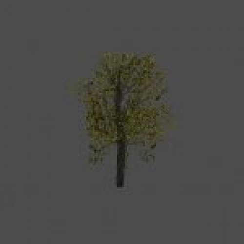 tree26