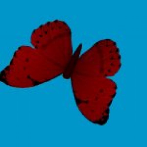 ec_bfly_red