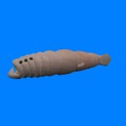 HD leech