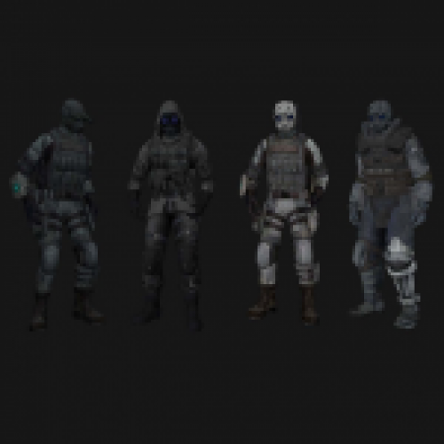 Operation Raccoon City