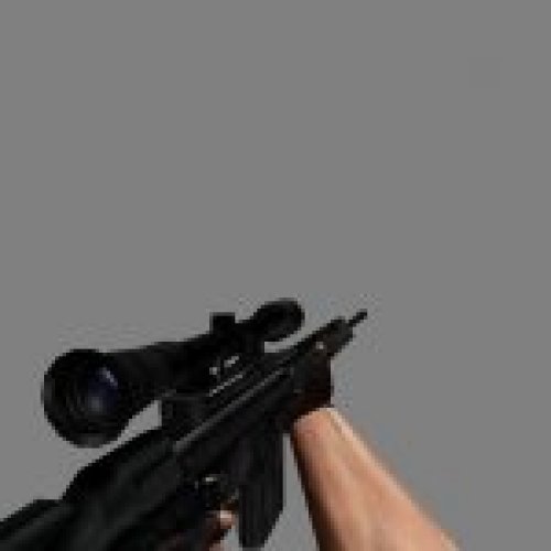 G3SG1 1