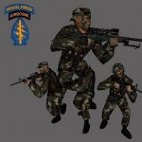 US Army Special Forces Trooper