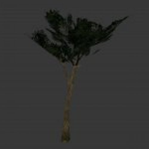 tree_tree6.mdl