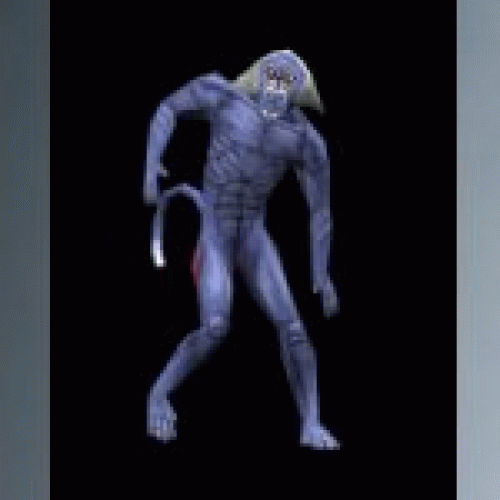 baboon