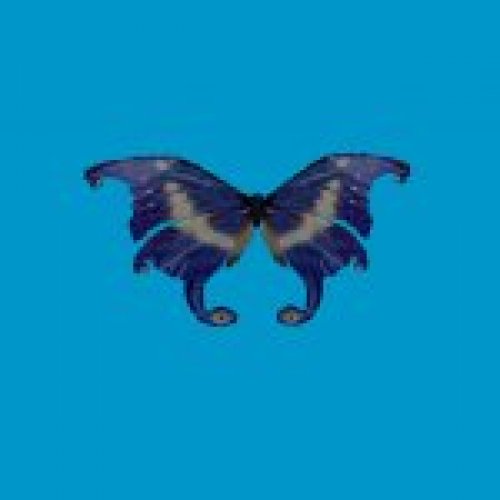 ec_bfly_blue