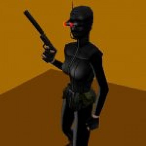 HD Assassin with USP