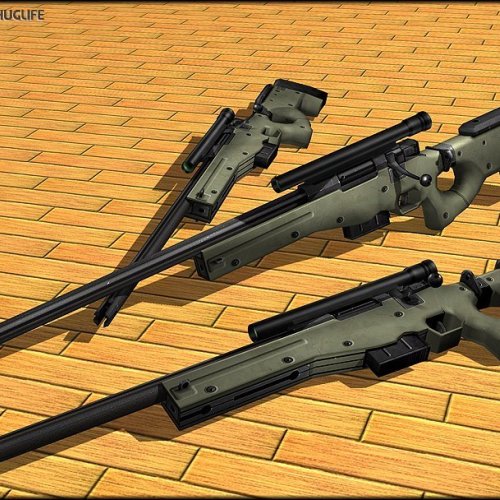 Awp Custom