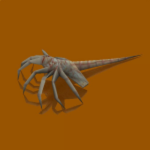 Alien's facehugger