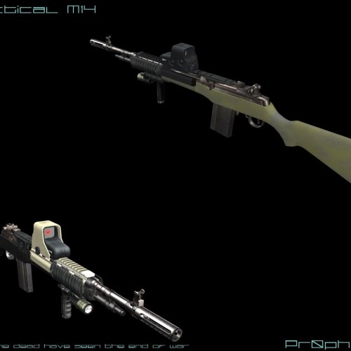 M14 tactical V2