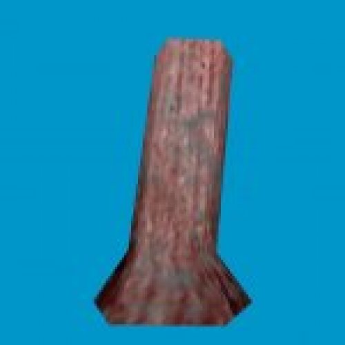 jn_blue_mushroom_03_gib05