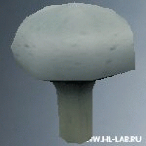 env_shroom4.zip