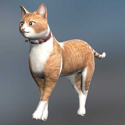 Cat gun