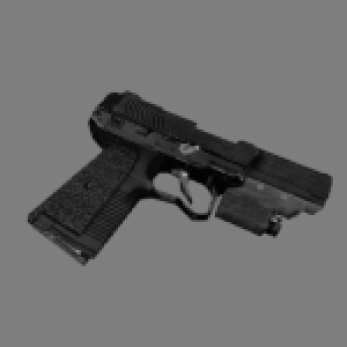 RE4 Punisher (Ada)