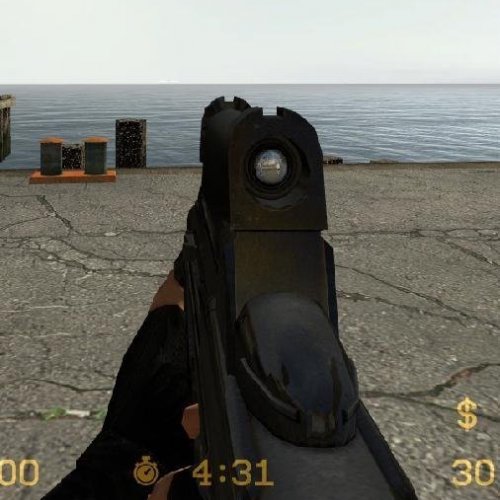 F2000 + Strykerwolf Amins