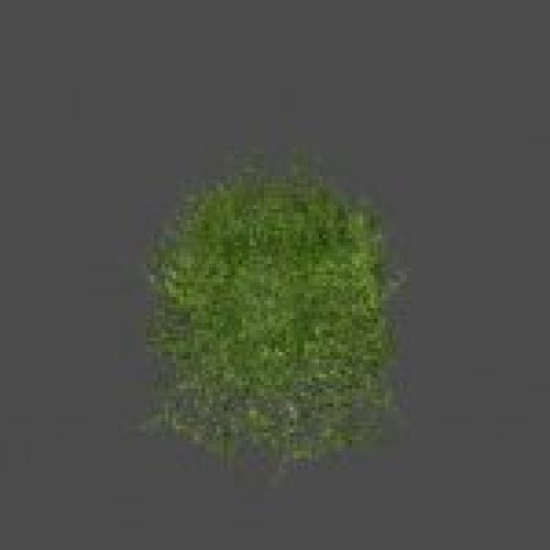 bush4