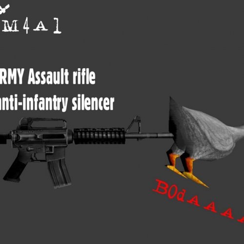 Secret US chicken M4