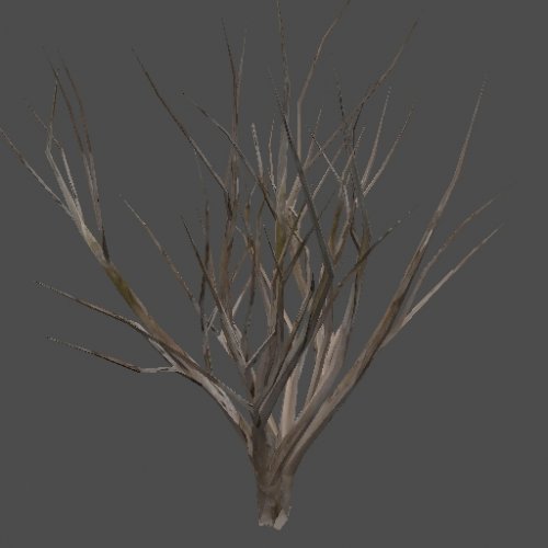 got_CrapeMyrtle_noleafs