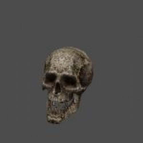 st_skull