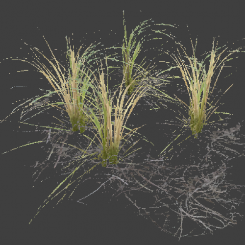 l10swamp_plant_group3