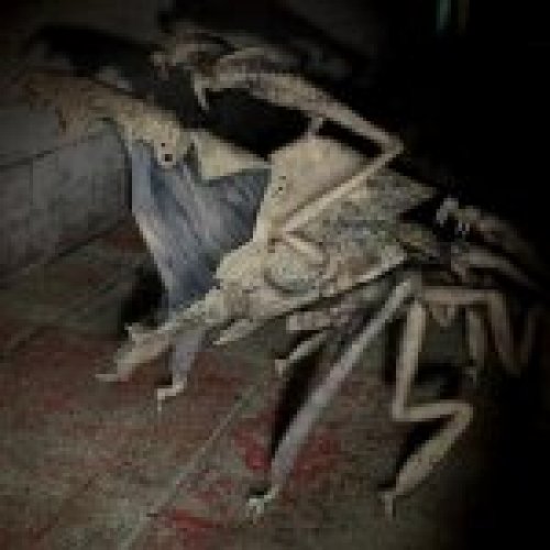 Cloverfield Parasite