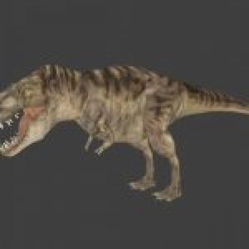 Rex