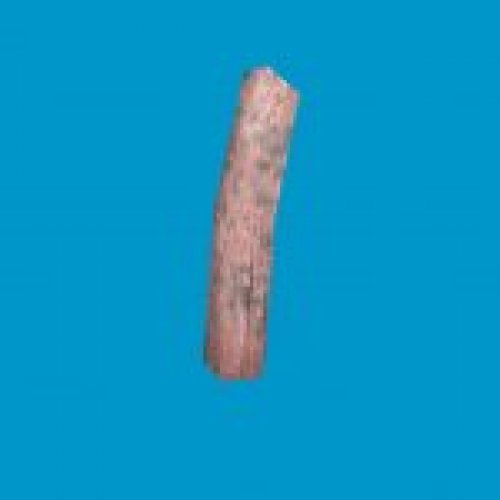 jn_blue_mushroom_03_gib04