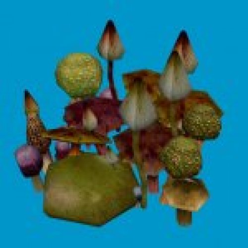 mushroom_clump_04