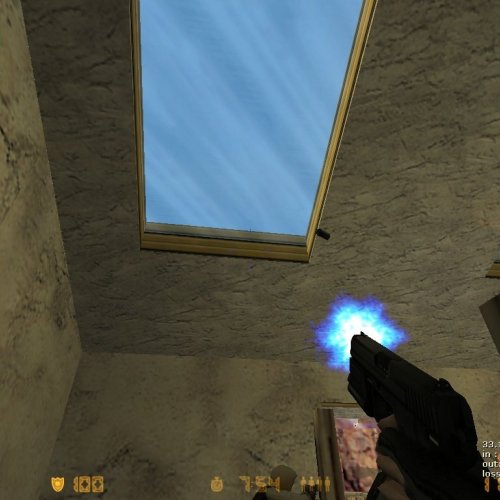 Tactical Usp