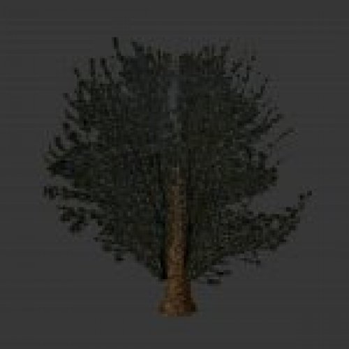 treeski1.mdl