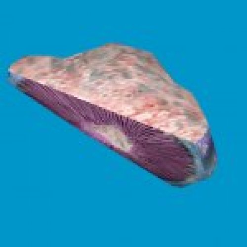 jn_blue_mushroom_03_gib02