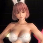 Honoka bunny