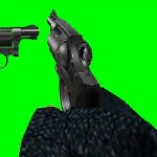 Taurus Pocket Magnum OF
