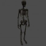 fnv_skeleton