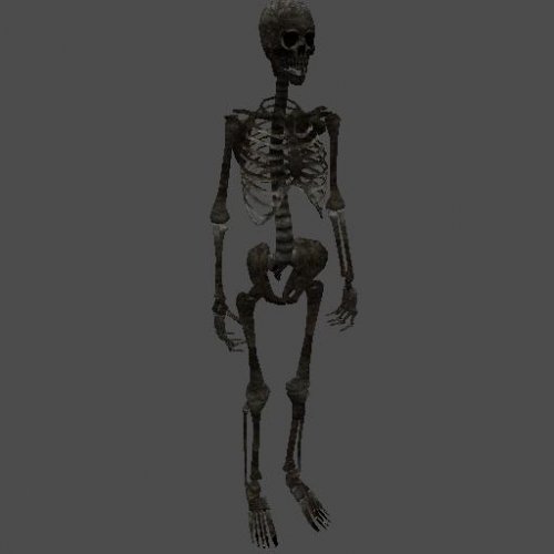 fnv_skeleton