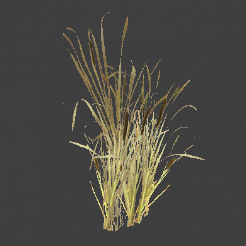 reed_7