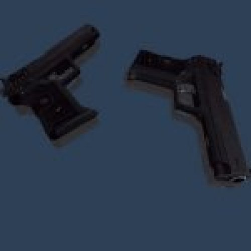 M8 Rabid Wease .357 (+ skin)