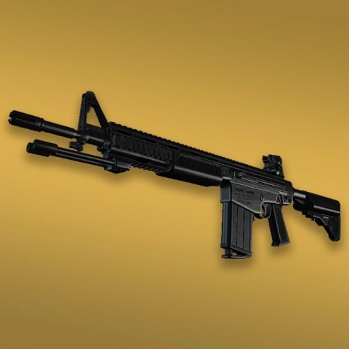 DMR